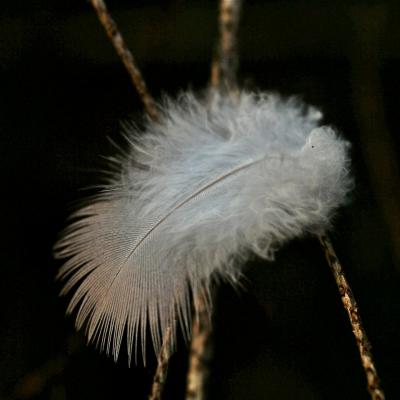 221