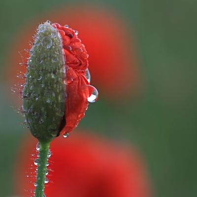 194
