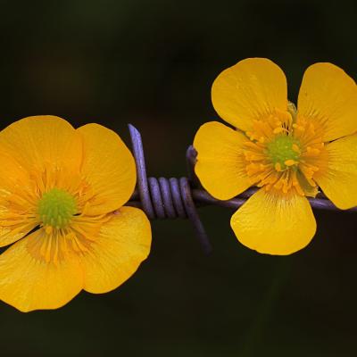 196