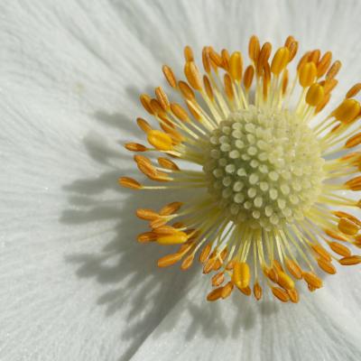 325