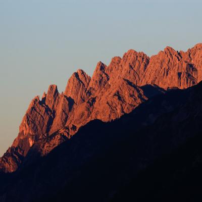 209