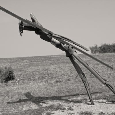 353