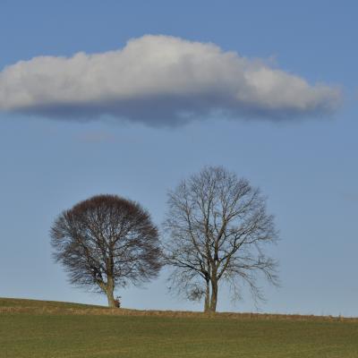 397