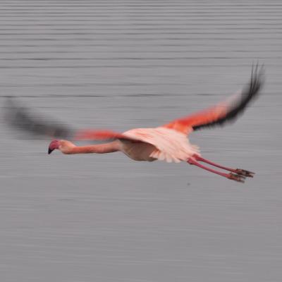 187